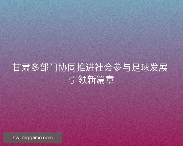 甘肃多部门协同推进社会参与足球发展 引领新篇章