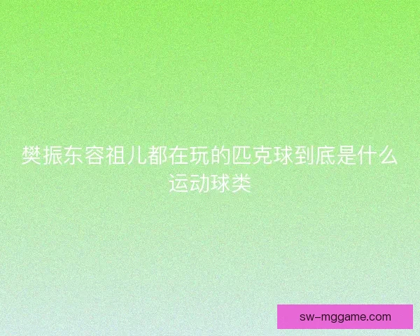 樊振东容祖儿都在玩的匹克球到底是什么运动球类
